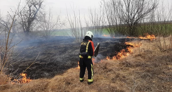 В Украине за сутки зафиксировано около 700 пожаров в экосистемах