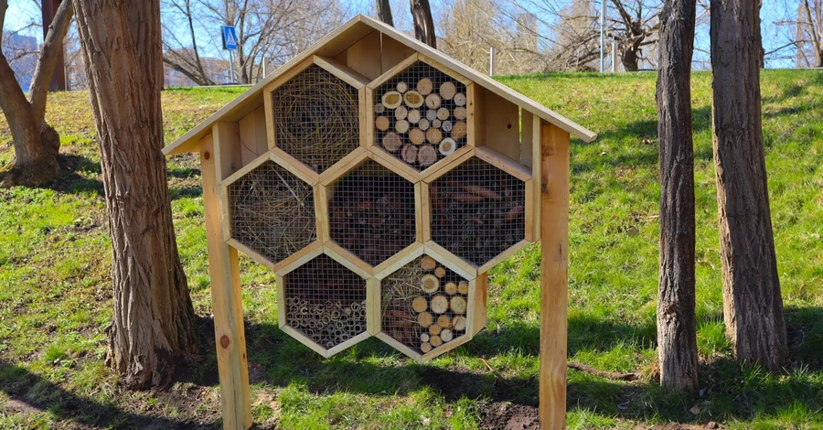 Не шпаківнями єдиними: як зробити будинок для комах і навіщо їх вішають у парках