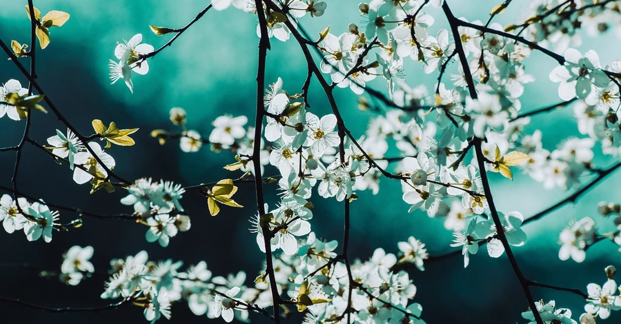 1 квітня - яке сьогодні свято, традиції та звичаї, все про цей день