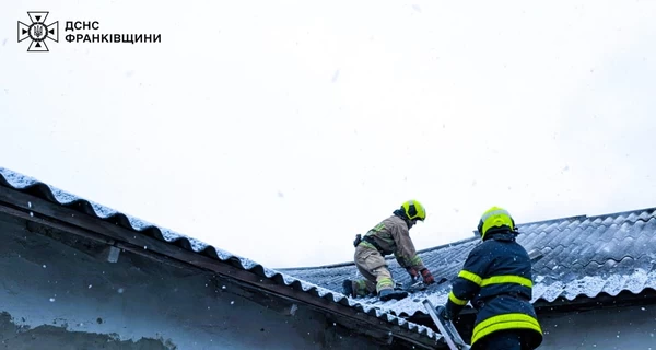 На Прикарпатье спасли 900 уток во время пожара на птицеферме