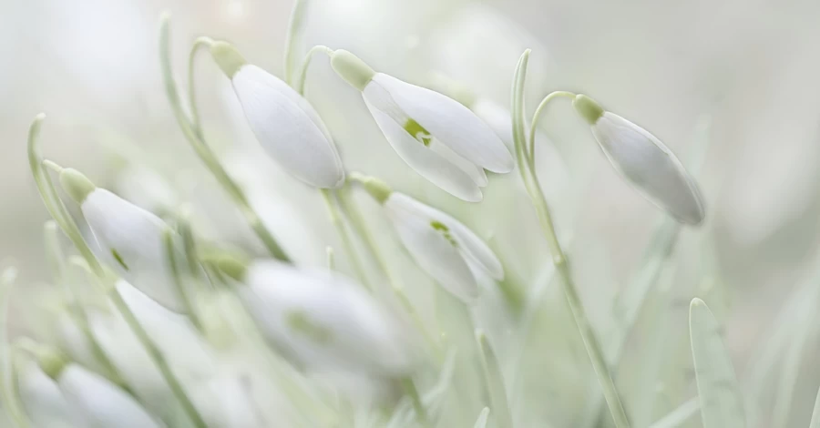 Погода в Украине 10 апреля: в большинстве областей - снег, сильный ветер и метели