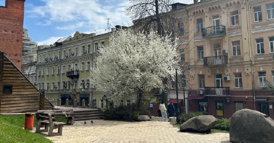 На Вербну неділю в Україну нарешті прийде весна - очікується до +16 градусів
