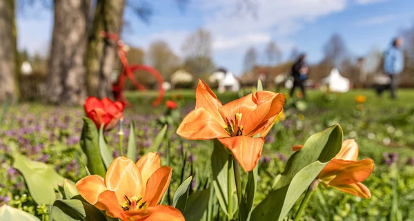 В Украине 14 апреля ожидается до +18 тепла, но некоторые области накроют дожди