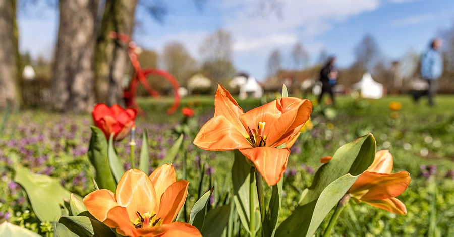 В Украине 14 апреля ожидается до +18 тепла, но некоторые области накроют дожди