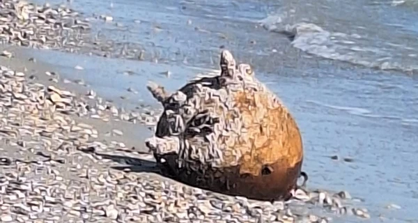 На побережье Одесской области вынесло две морские мины - их своевременно обезвредили 