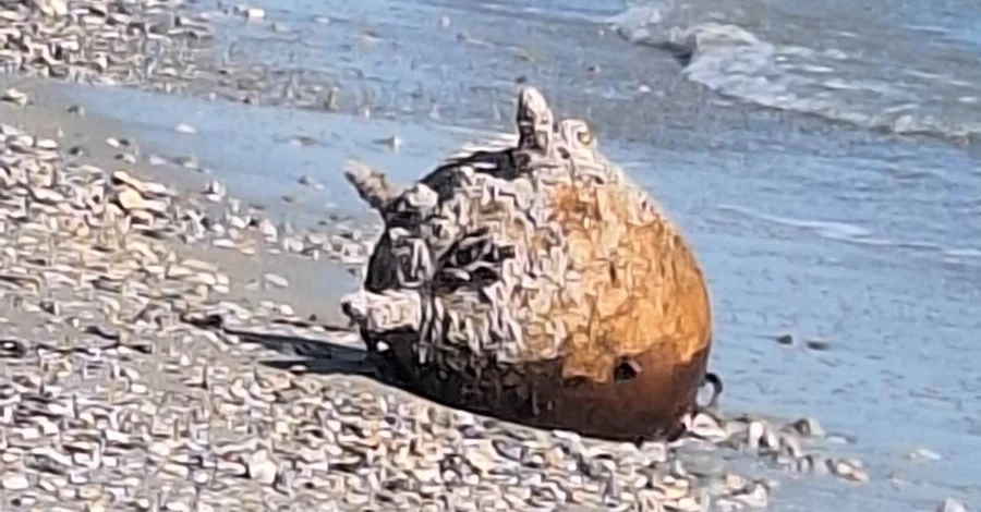 На побережье Одесской области вынесло две морские мины - их своевременно обезвредили 