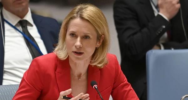 В ЕС пригрозили последствиями представителям стран, которые поедут 9 мая в Москву