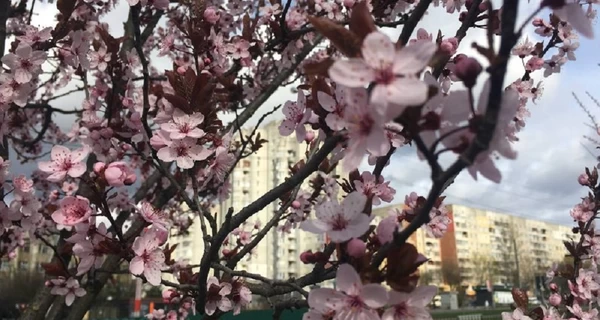 16 апреля - какой сегодня праздник, традиции и запреты, все об этом дне