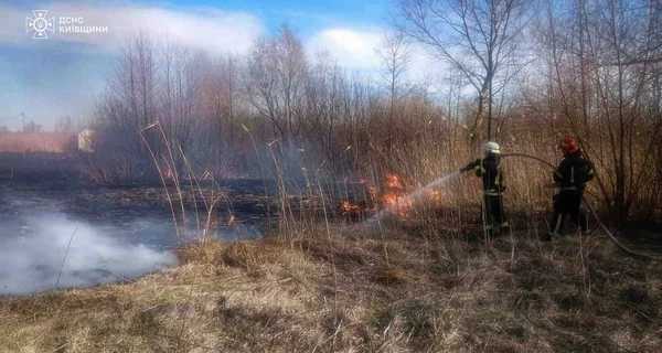В Киевской области из-за сжигания травы погибли два человека