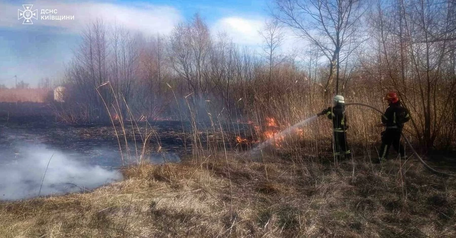 В Киевской области из-за сжигания травы погибли два человека