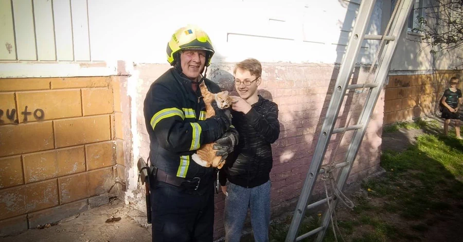 У Білій Церкві власникам кота довелося викликати рятувальників - не хотів злазити з дерева