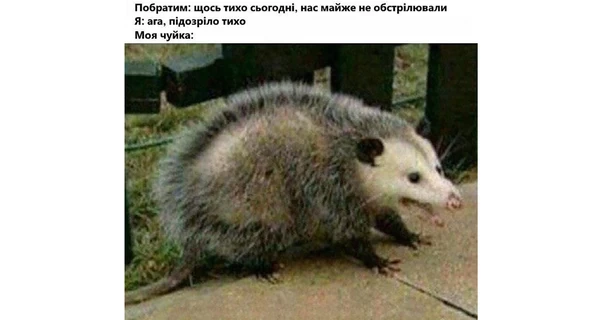 Анекдоты и мемы недели: К раздаче шуток - стройся! Раз-два!