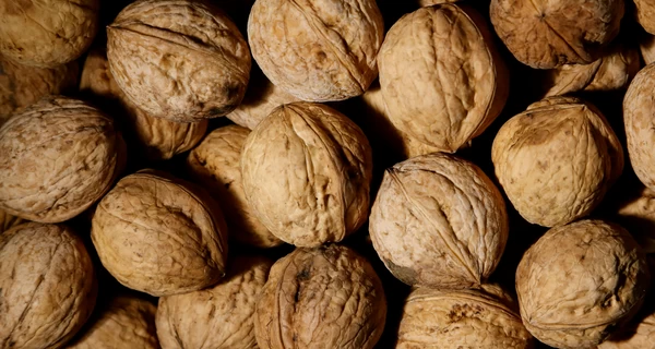 Переваги волоських горіхів для здоров'я людини: як вони впливають на організм