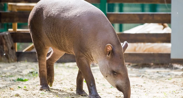 27 апреля – какой сегодня праздник, что нельзя делать, традиции и запреты на этот день