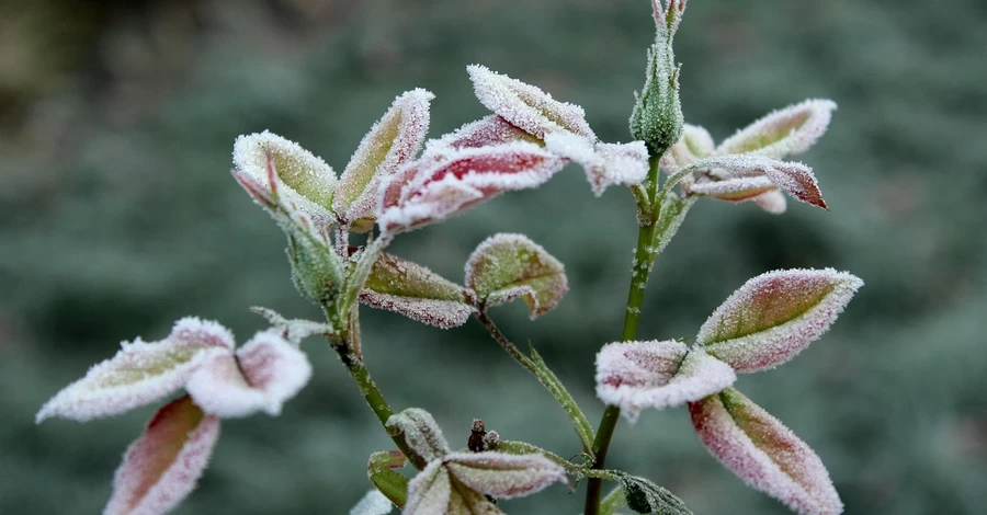 В Украину 28 апреля вернется потепление, но в некоторых регионах ожидаются заморозки