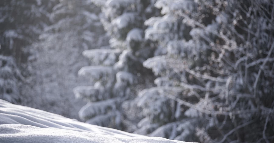 У Харкові та Сумах випав сніг посеред весни