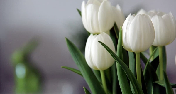 2 мая – какой сегодня праздник, традиции и обычаи, что нельзя делать в этот день