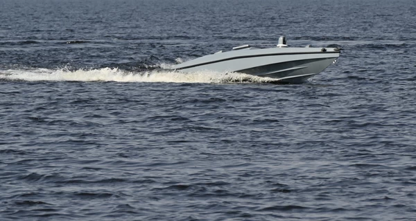 Бойцы ГУР впервые в мире уничтожили российский Су-30 дроном Magura