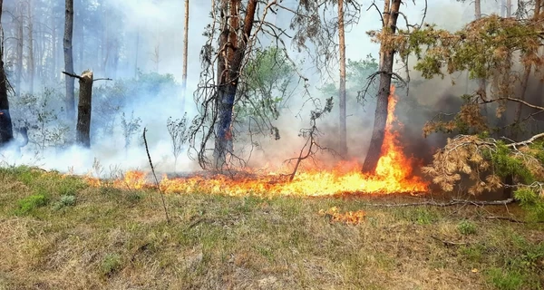 На Харківщині через лісові пожежі детонують боєприпаси та готується евакуація