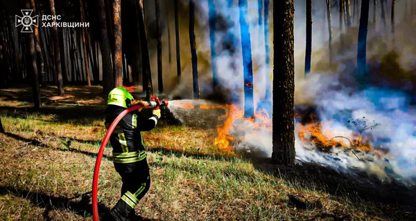 В Харьковской области продолжают гореть леса