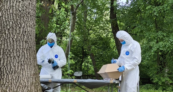 В Тернопольской области обнаружили останки 42 человек, которые могли стать жертвами Волынской трагедии