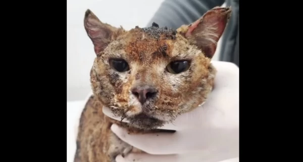 В Киеве после удара 