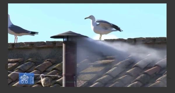 Кардиналы выбрали Папу - над Ватиканом поднялся белый дым