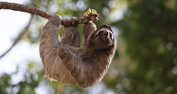 В харьковском 