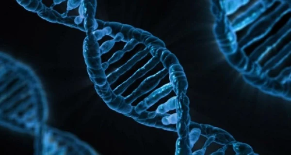 Врачи успешно вылечили ребенка с помощью первой в истории терапии по редактированию генов