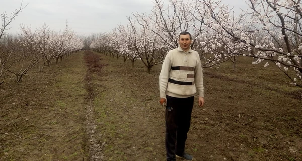 Херсонские фермеры на линии огня: В небе - дроны, на земле - «лепестки», но черешню вырастим