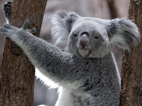 21 мая - какой сегодня праздник, традиции и запреты, все об этом дне