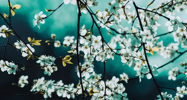 22 мая - какой сегодня праздник, что нельзя делать, все об этом дне