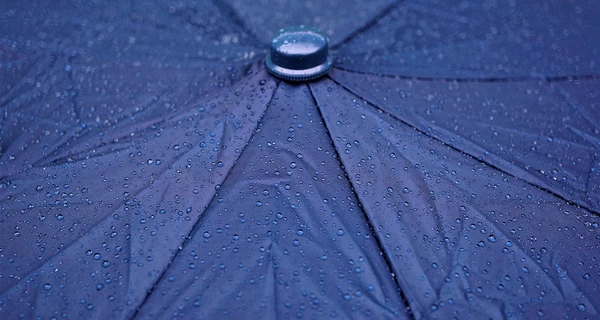 В Украину вернутся 25 мая дожди и грозы, в некоторых областях выпадет снег