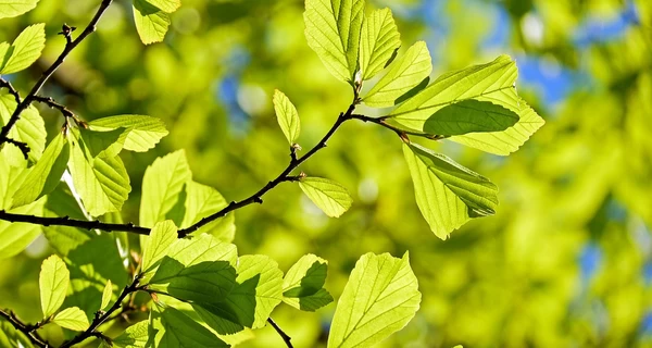 26 мая - какой сегодня праздник, все об этом дне, что нельзя делать