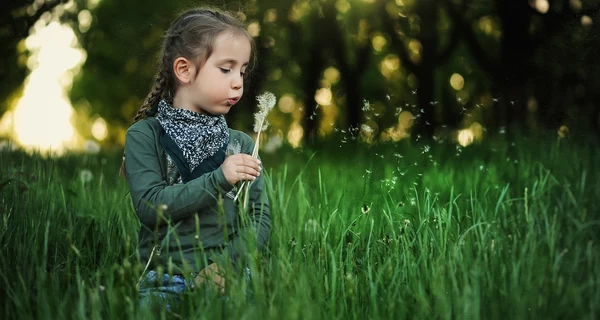 28 мая - Всеукраинский день краеведения, какой сегодня церковный праздник, все об этом дне