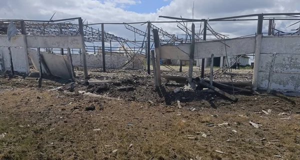 РФ ударила по фермерскому хозяйству в Николаевской области, есть погибшие и раненые