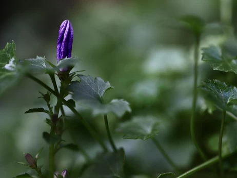 30 мая дождей в Украине станет меньше, а потепление придет в начале июня