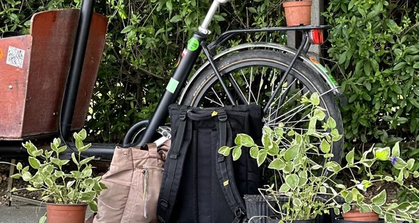 Перший у Києві сад-город: як містяни навчаються вирощувати овочі і зелень серед мегаполісу