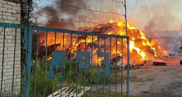 Неизвестные беспилотники атаковали Курщину – горели пункты дислокации армии РФ