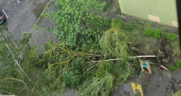 В Киеве прошел ливень, выпал град и упали деревья (обновлено)