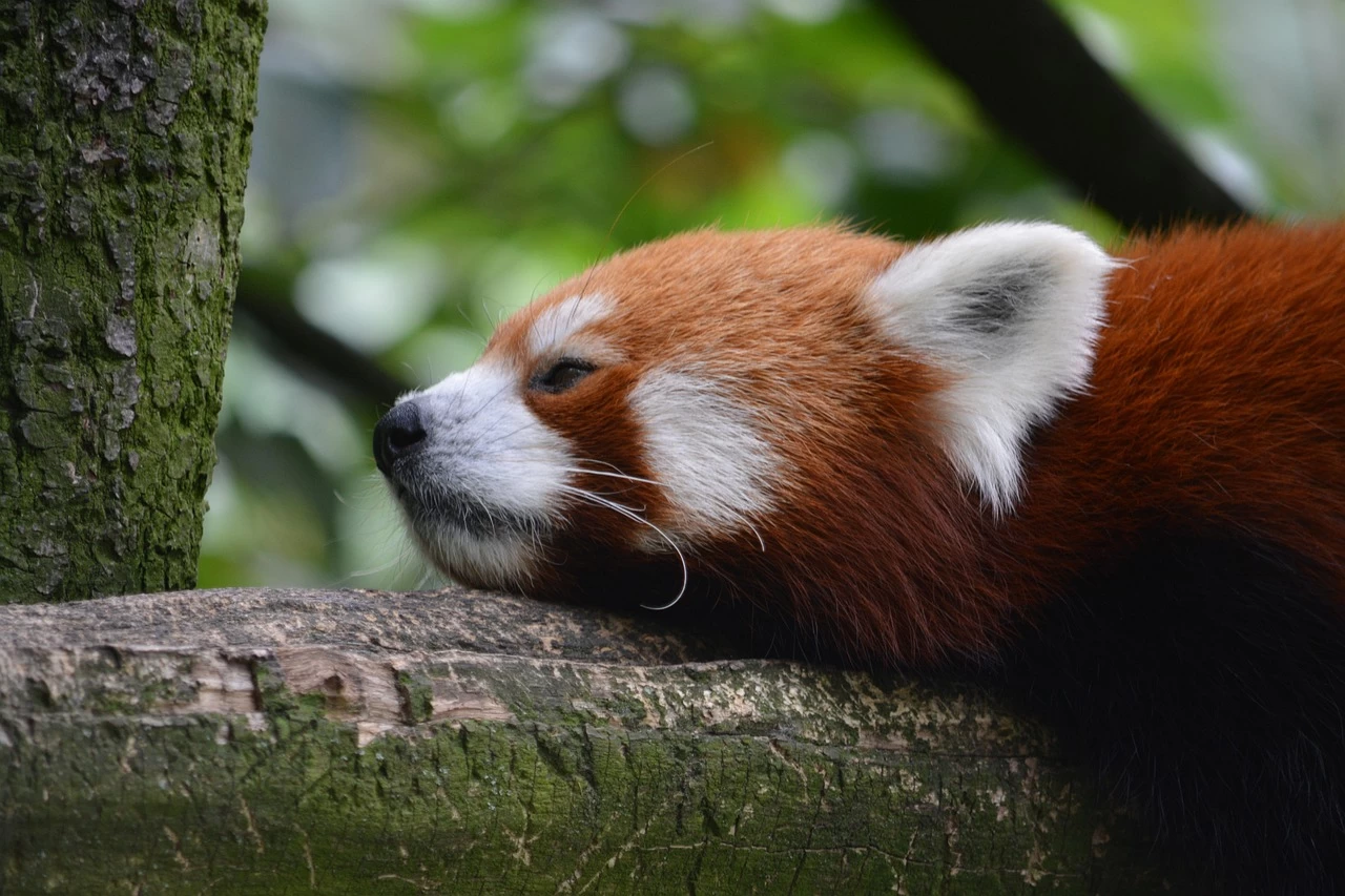 Погода в Украине 10 июня: жарко будет на востоке и юге, на западе – до +21