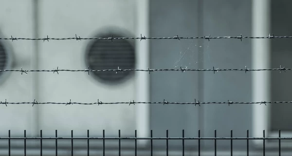 Консулы встретились с 16-летним украинцем, подозреваемым в убийстве матери и сестры в Бельгии