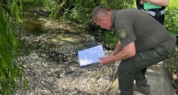 В Житомирской области в реке Случь погибло 28 тонн рыбы