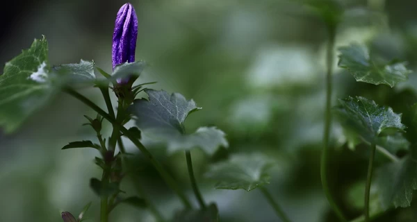 Какой праздник 14 июня - что сегодня нельзя делать, традиции и обычаи, все об этом дне