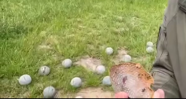 Кличко показал кассетные боеприпасы, которыми Россия ударила по Киеву 