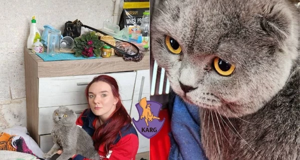 Из киевской 9-этажки, разрушенной российским ударом, спасли 10 кошек и двух птенцов