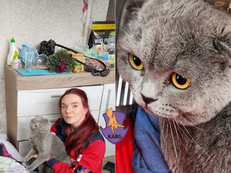 З київської 9-поверхівки, зруйнованої російським ударом, врятували 10 котів та двох пташенят