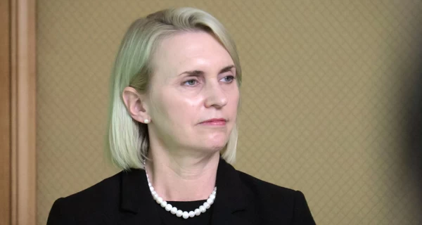 Экс-посол США в Украине Бринк будет баллотироваться в Конгресс