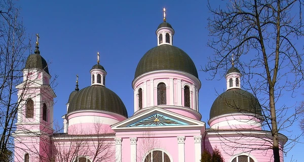 В Черновцах произошла драка в храме, пострадали полицейские 