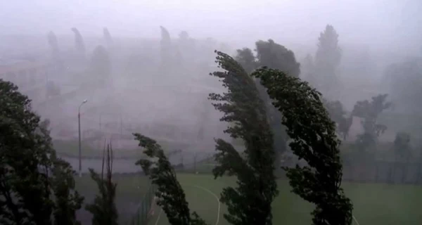 Киевлян предупредили о сильном ветре и посоветовали не ходить под деревьями и рекламными щитами